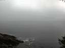 ./images/koeye/fitz-hugh/20141007/fitz-hugh20141007_074002.jpg