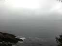 ./images/koeye/fitz-hugh/20141007/fitz-hugh20141007_074503.jpg