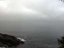 ./images/koeye/fitz-hugh/20141007/fitz-hugh20141007_075001.jpg