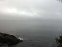 ./images/koeye/fitz-hugh/20141007/fitz-hugh20141007_075503.jpg