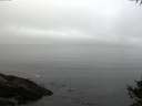 ./images/koeye/fitz-hugh/20141007/fitz-hugh20141007_080002.jpg