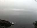 ./images/koeye/fitz-hugh/20141007/fitz-hugh20141007_080502.jpg