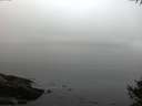 ./images/koeye/fitz-hugh/20141007/fitz-hugh20141007_081003.jpg