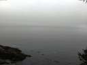 ./images/koeye/fitz-hugh/20141007/fitz-hugh20141007_081503.jpg