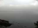 ./images/koeye/fitz-hugh/20141007/fitz-hugh20141007_082002.jpg
