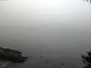 ./images/koeye/fitz-hugh/20141007/fitz-hugh20141007_084003.jpg