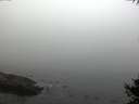 ./images/koeye/fitz-hugh/20141007/fitz-hugh20141007_084502.jpg