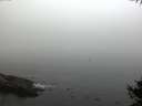 ./images/koeye/fitz-hugh/20141007/fitz-hugh20141007_085003.jpg