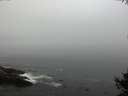 ./images/koeye/fitz-hugh/20141007/fitz-hugh20141007_085502.jpg