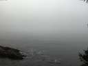 ./images/koeye/fitz-hugh/20141007/fitz-hugh20141007_090502.jpg