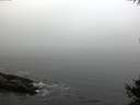 ./images/koeye/fitz-hugh/20141007/fitz-hugh20141007_091002.jpg