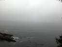 ./images/koeye/fitz-hugh/20141007/fitz-hugh20141007_091502.jpg