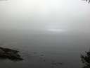 ./images/koeye/fitz-hugh/20141007/fitz-hugh20141007_092002.jpg