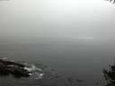 ./images/koeye/fitz-hugh/20141007/fitz-hugh20141007_092502.jpg