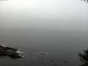 ./images/koeye/fitz-hugh/20141007/fitz-hugh20141007_093501.jpg