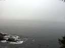 ./images/koeye/fitz-hugh/20141007/fitz-hugh20141007_094002.jpg