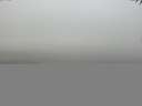 ./images/koeye/fitz-hugh/20141007/fitz-hugh20141007_094501.jpg