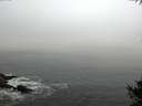 ./images/koeye/fitz-hugh/20141007/fitz-hugh20141007_095001.jpg