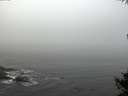 ./images/koeye/fitz-hugh/20141007/fitz-hugh20141007_100002.jpg