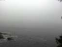 ./images/koeye/fitz-hugh/20141007/fitz-hugh20141007_101003.jpg