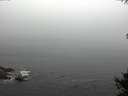 ./images/koeye/fitz-hugh/20141007/fitz-hugh20141007_101503.jpg