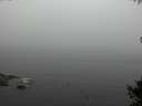 ./images/koeye/fitz-hugh/20141007/fitz-hugh20141007_102502.jpg