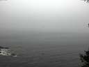 ./images/koeye/fitz-hugh/20141007/fitz-hugh20141007_103502.jpg