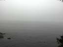 ./images/koeye/fitz-hugh/20141007/fitz-hugh20141007_104002.jpg