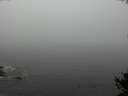 ./images/koeye/fitz-hugh/20141007/fitz-hugh20141007_105002.jpg