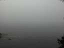 ./images/koeye/fitz-hugh/20141007/fitz-hugh20141007_105502.jpg