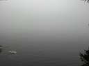 ./images/koeye/fitz-hugh/20141007/fitz-hugh20141007_110503.jpg