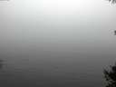 ./images/koeye/fitz-hugh/20141007/fitz-hugh20141007_112001.jpg