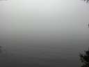 ./images/koeye/fitz-hugh/20141007/fitz-hugh20141007_112501.jpg