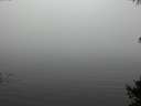 ./images/koeye/fitz-hugh/20141007/fitz-hugh20141007_113502.jpg