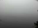 ./images/koeye/fitz-hugh/20141007/fitz-hugh20141007_120002.jpg