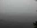 ./images/koeye/fitz-hugh/20141007/fitz-hugh20141007_120502.jpg