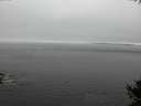./images/koeye/fitz-hugh/20141007/fitz-hugh20141007_141501.jpg