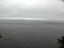 ./images/koeye/fitz-hugh/20141007/fitz-hugh20141007_142002.jpg