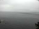 ./images/koeye/fitz-hugh/20141007/fitz-hugh20141007_142501.jpg
