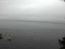 ./images/koeye/fitz-hugh/20141007/fitz-hugh20141007_143501.jpg