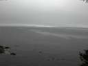 ./images/koeye/fitz-hugh/20141007/fitz-hugh20141007_145502.jpg