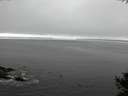 ./images/koeye/fitz-hugh/20141007/fitz-hugh20141007_150502.jpg