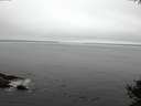 ./images/koeye/fitz-hugh/20141007/fitz-hugh20141007_152003.jpg