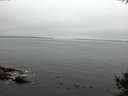 ./images/koeye/fitz-hugh/20141007/fitz-hugh20141007_152503.jpg