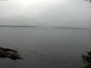 ./images/koeye/fitz-hugh/20141007/fitz-hugh20141007_153502.jpg