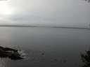 ./images/koeye/fitz-hugh/20141007/fitz-hugh20141007_154503.jpg