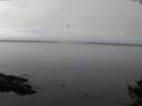 ./images/koeye/fitz-hugh/20141007/fitz-hugh20141007_155002.jpg