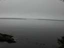 ./images/koeye/fitz-hugh/20141007/fitz-hugh20141007_160003.jpg