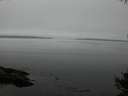 ./images/koeye/fitz-hugh/20141007/fitz-hugh20141007_160502.jpg