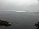 ./images/koeye/fitz-hugh/20141007/fitz-hugh20141007_161502.jpg